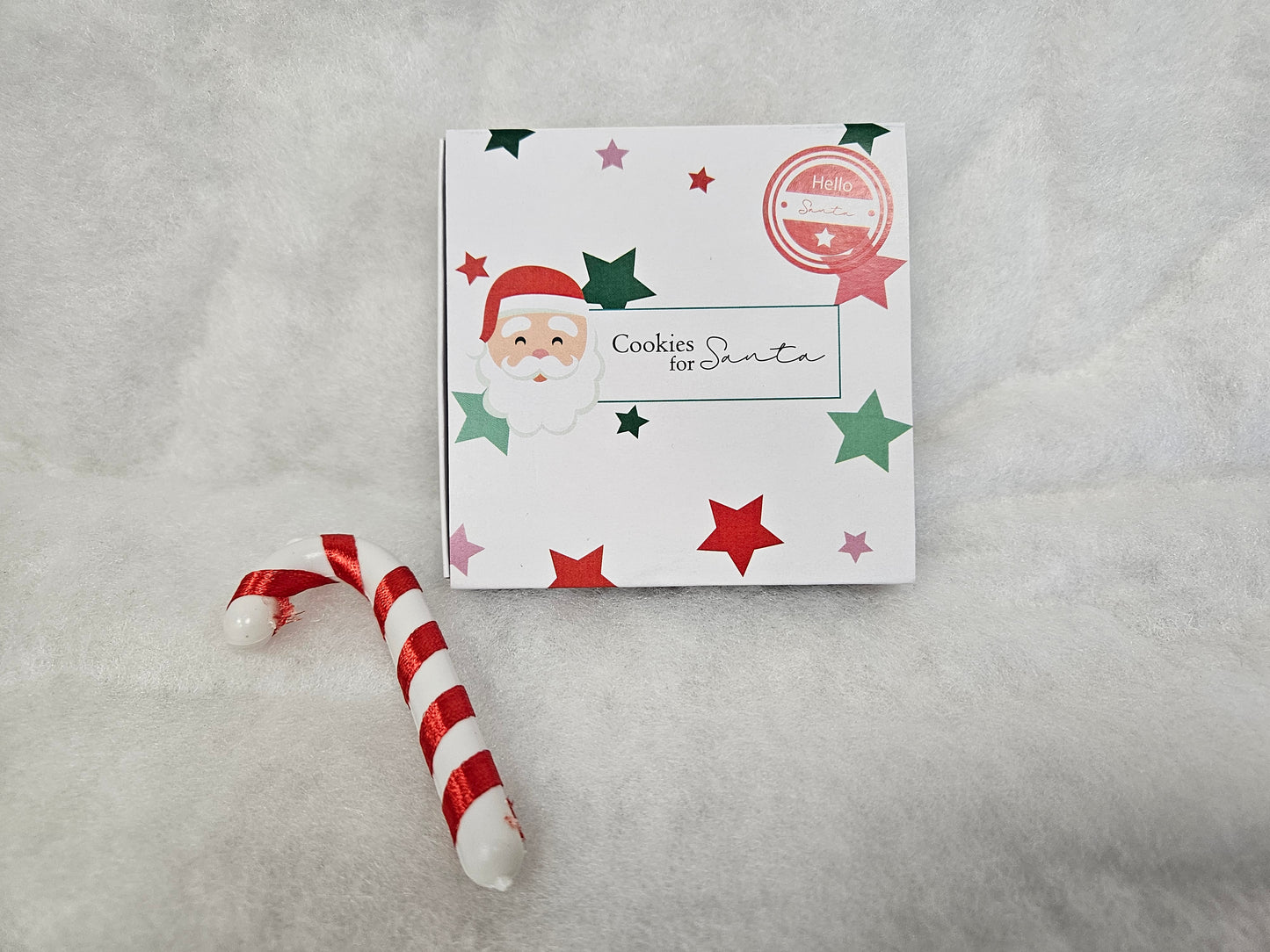 Cookie for santa