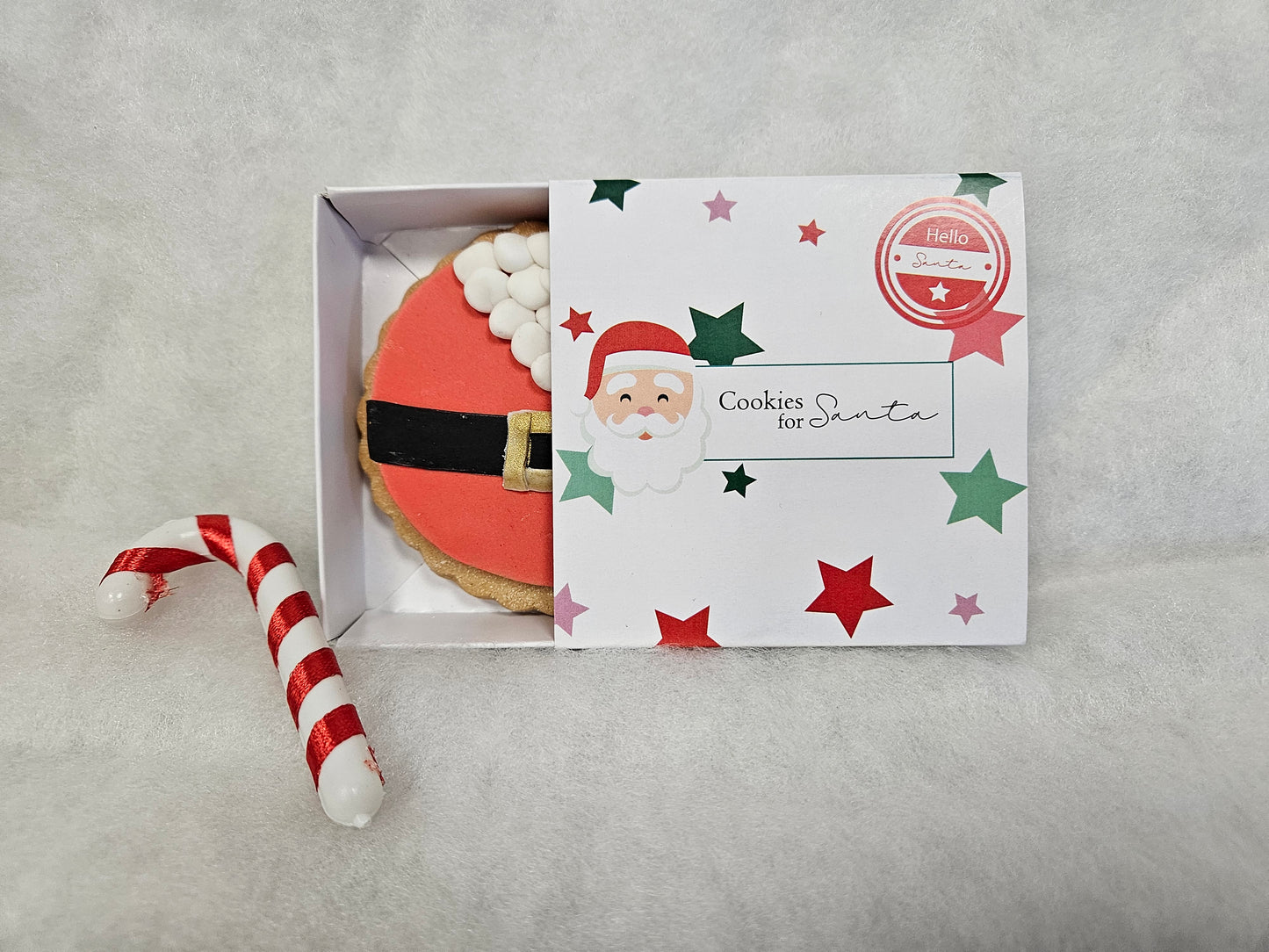 Cookie for santa
