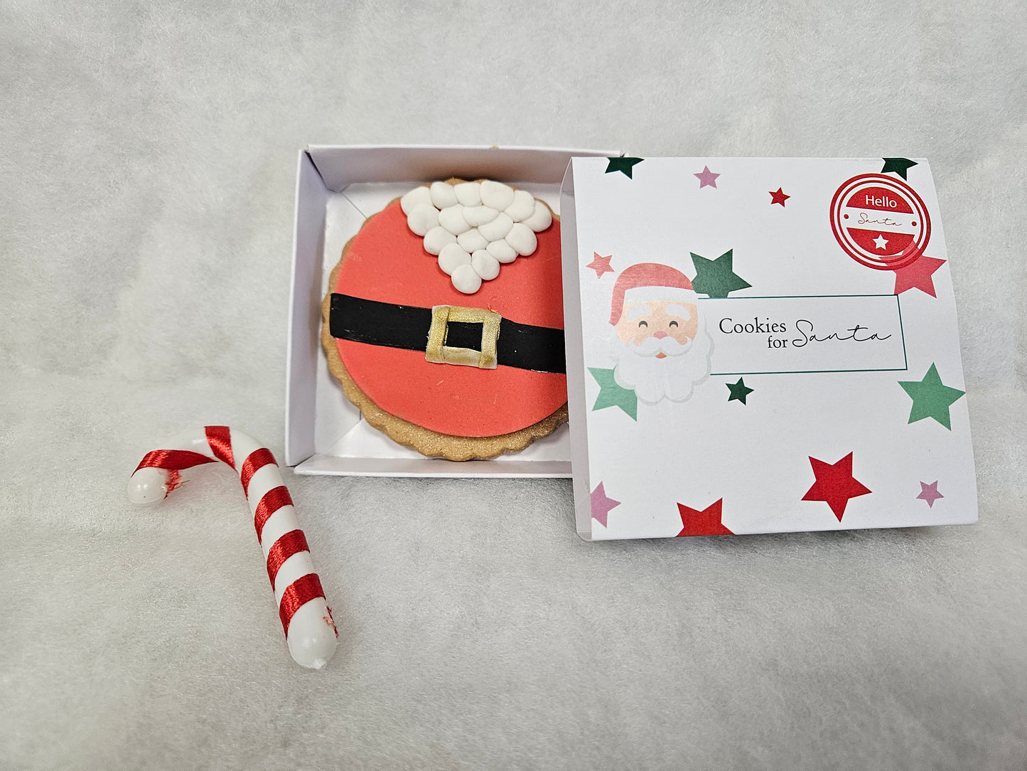 Cookie for santa